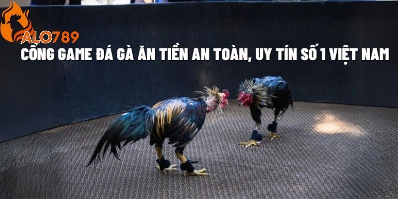 Cửa gà thắng là một trong những lựa chọn vô cùng đơn giản