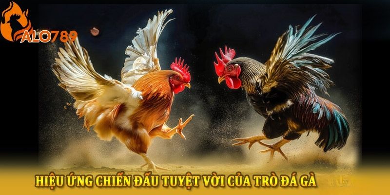 Cược thủ được tận hưởng những trận đấu trực tiếp